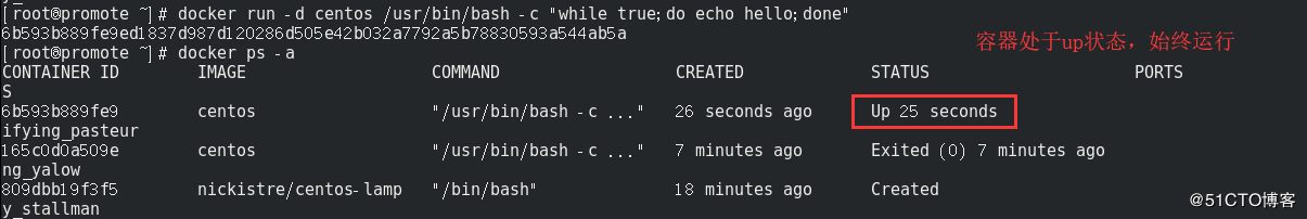5129e5eebac5b4bf80953ba98bd9e3e9.png 5129e5eebac5b4bf80953ba98bd9e3e9.png